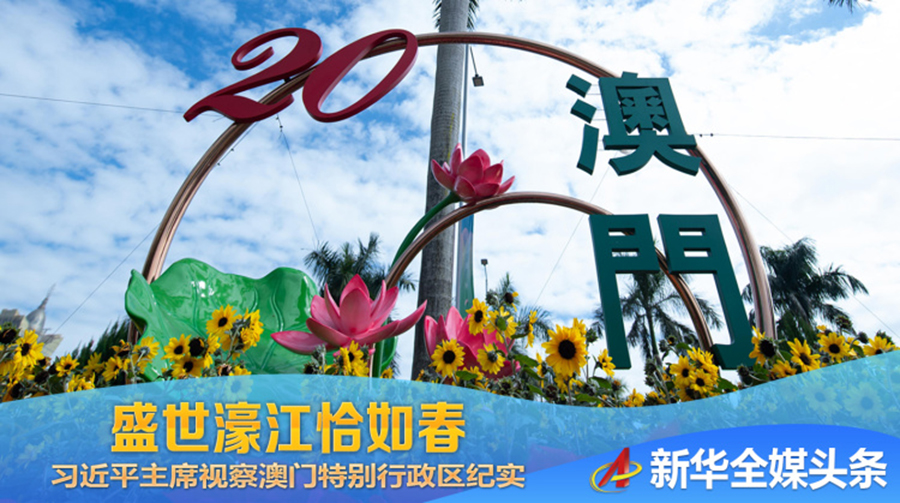 2025年新澳门天天开彩免费资料龙门客栈,龙门客栈，探索2025年新澳门天天开彩免费资料